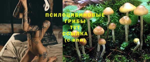 бутират Алзамай