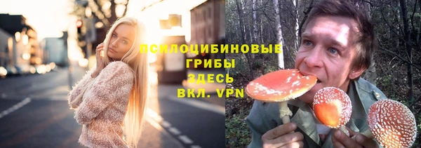 бутират Алзамай