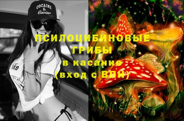 a pvp Алексин