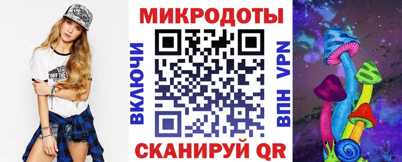 Псилоцибиновые грибы Psilocybe  нарко площадка Telegram  kraken ССЫЛКА  Гвардейск  закладка 