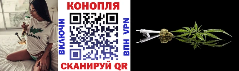 дарнет шоп  Гвардейск  Канабис Ganja 